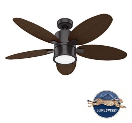 Amaryllis Outdoor Ceiling Fan with LED 